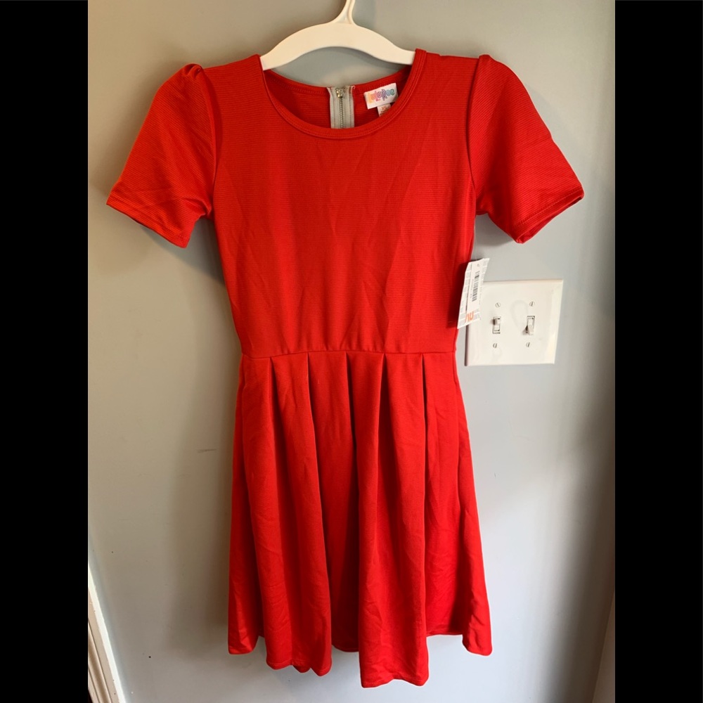 NEW WITH TAGS LuLaRoe Amelia Dress